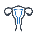 Gynecology